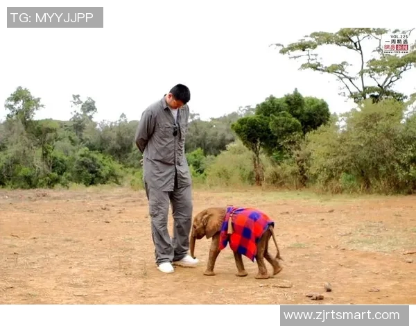 姚明携手全球力量共筑象牙保护屏障守护大象未来 姚明携手全球力量共筑象牙保护屏障守护大象未来
